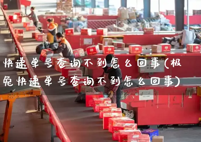 快递单号查询不到怎么回事(极兔快递单号查询不到怎么回事)_https://www.senxinmaoyi.com_物流单号_第1张
