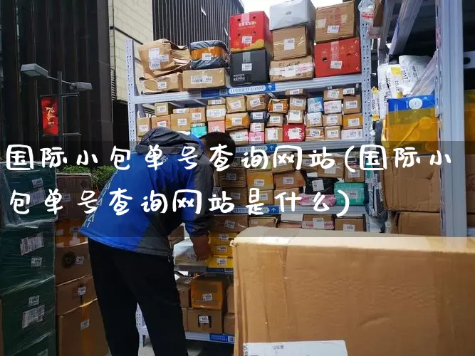 国际小包单号查询网站(国际小包单号查询网站是什么)_https://www.senxinmaoyi.com_邮政编码_第1张