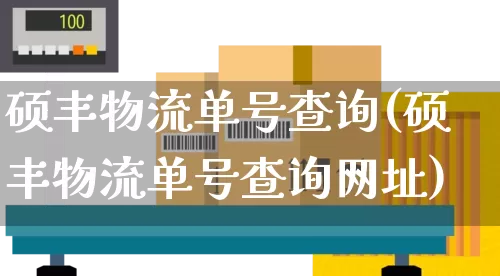 硕丰物流单号查询(硕丰物流单号查询网址)_https://www.senxinmaoyi.com_物流单号_第1张