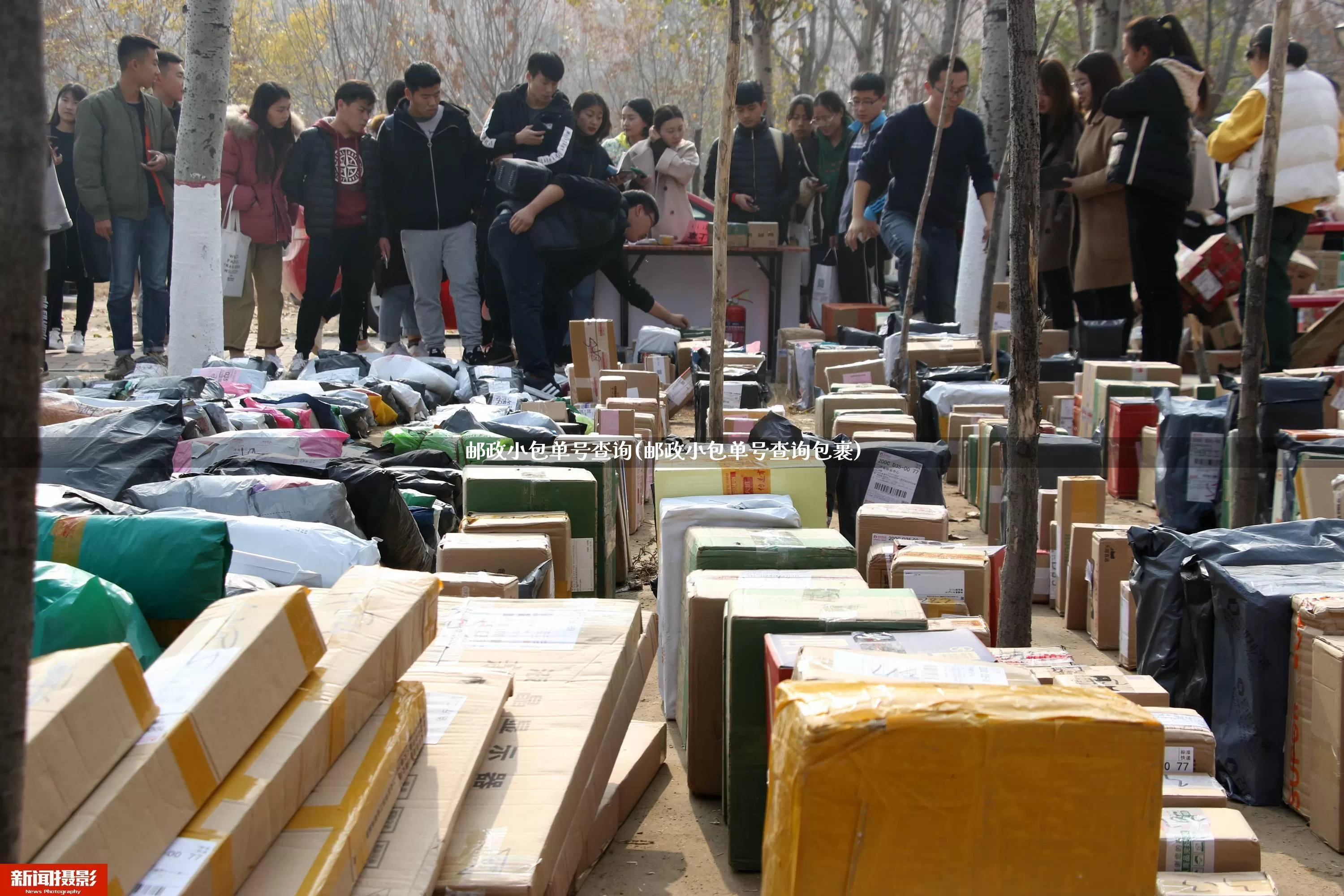 邮政小包单号查询(邮政小包单号查询包裹)_https://www.senxinmaoyi.com_物流查询_第1张