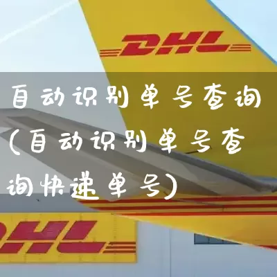 自动识别单号查询(自动识别单号查询快递单号)_https://www.senxinmaoyi.com_物流查询_第1张
