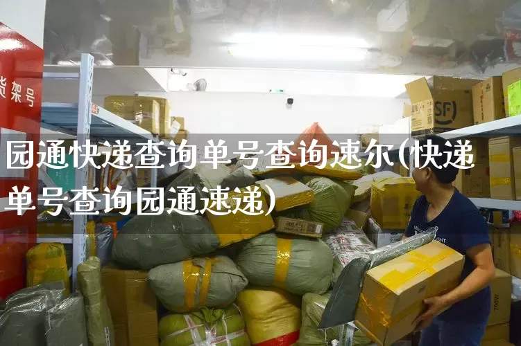 园通快递查询单号查询速尔(快递单号查询园通速递)_https://www.senxinmaoyi.com_邮政编码_第1张