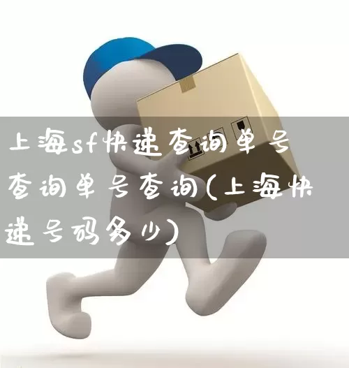 上海sf快递查询单号查询单号查询(上海快递号码多少)_https://www.senxinmaoyi.com_物流查询_第1张