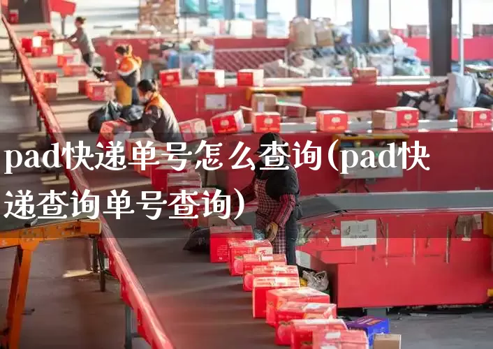 pad快递单号怎么查询(pad快递查询单号查询)_https://www.senxinmaoyi.com_物流单号_第1张