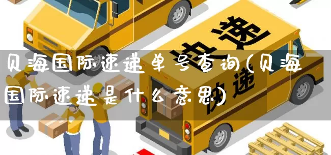 贝海国际速递单号查询(贝海国际速递是什么意思)_https://www.senxinmaoyi.com_物流单号_第1张
