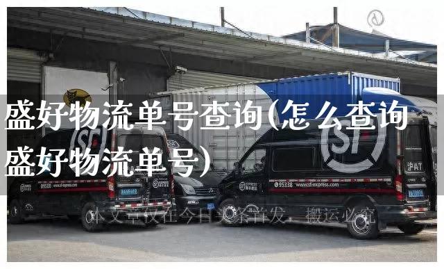 盛好物流单号查询(怎么查询盛好物流单号)_https://www.senxinmaoyi.com_物流查询_第1张