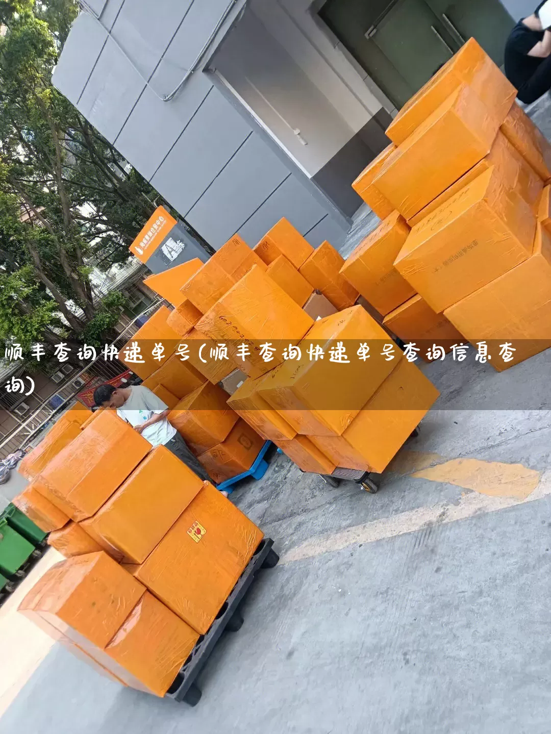 顺丰查询快递单号(顺丰查询快递单号查询信息查询)_https://www.senxinmaoyi.com_邮政编码_第1张