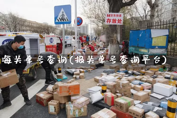 海关单号查询(报关单号查询平台)_https://www.senxinmaoyi.com_物流查询_第1张