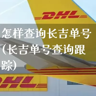 怎样查询长吉单号(长吉单号查询跟踪)_https://www.senxinmaoyi.com_邮政编码_第1张