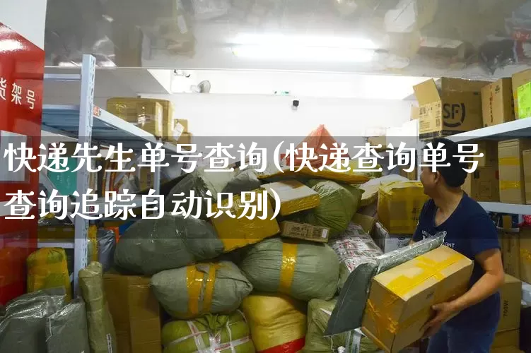 快递先生单号查询(快递查询单号查询追踪自动识别)_https://www.senxinmaoyi.com_快递查询_第1张