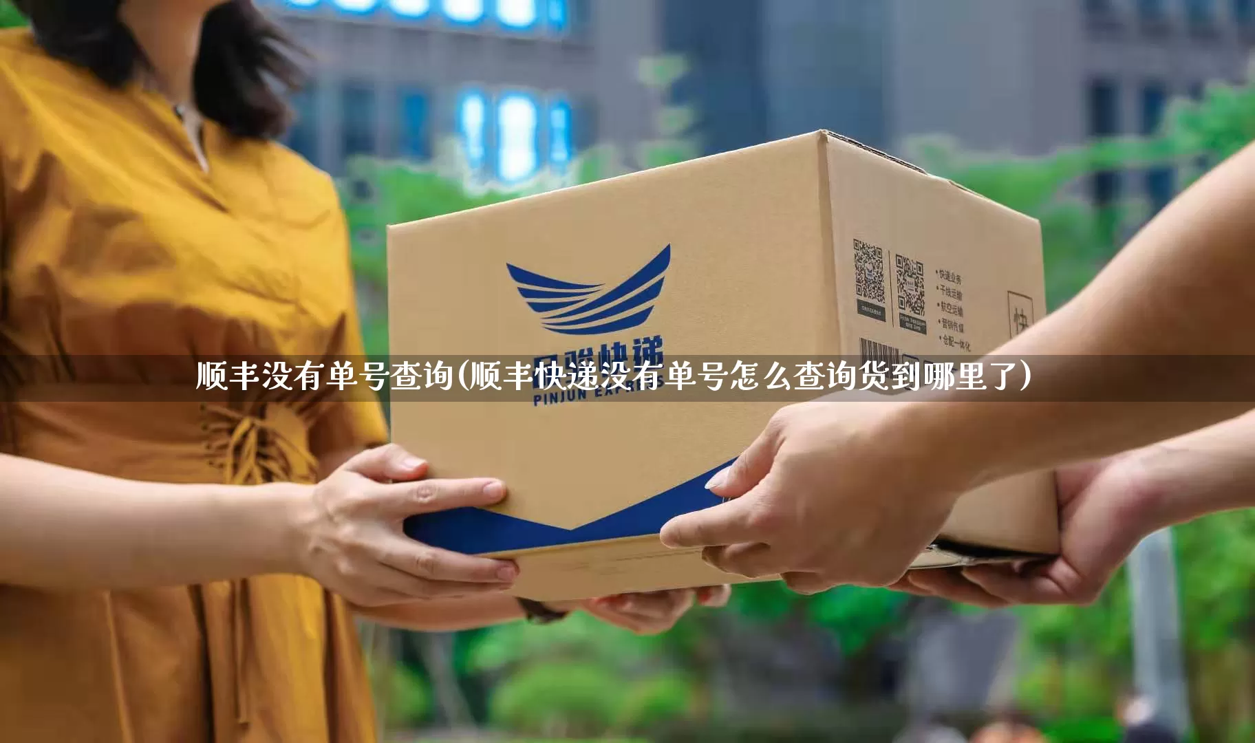 顺丰没有单号查询(顺丰快递没有单号怎么查询货到哪里了)_https://www.senxinmaoyi.com_物流单号_第1张