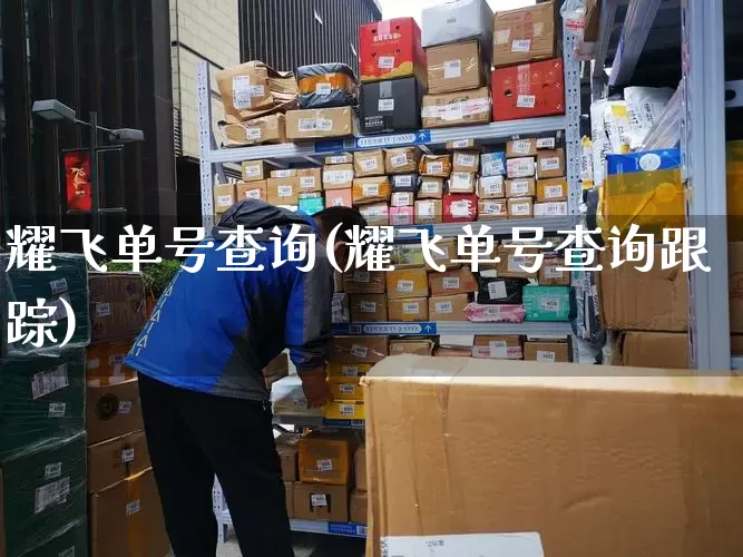 耀飞单号查询(耀飞单号查询跟踪)_https://www.senxinmaoyi.com_物流查询_第1张