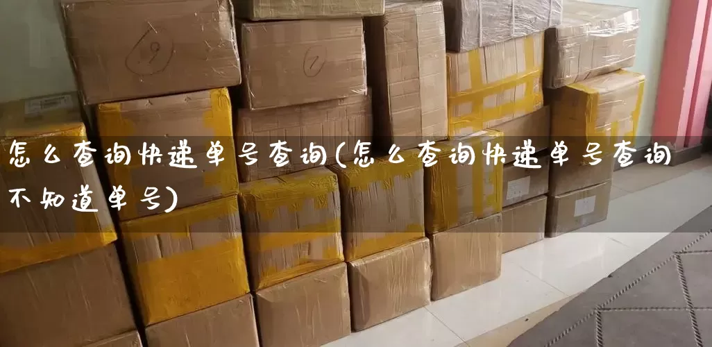 怎么查询快递单号查询(怎么查询快递单号查询不知道单号)_https://www.senxinmaoyi.com_快递查询_第1张