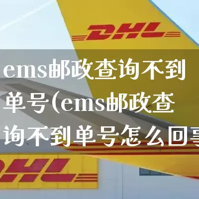 ems邮政查询不到单号(ems邮政查询不到单号怎么回事)_https://www.senxinmaoyi.com_邮政编码_第1张