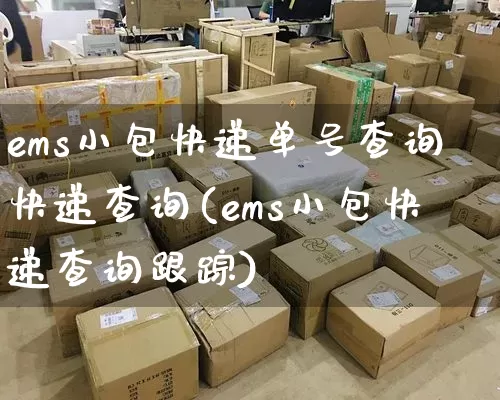 ems小包快递单号查询快递查询(ems小包快递查询跟踪)_https://www.senxinmaoyi.com_物流查询_第1张
