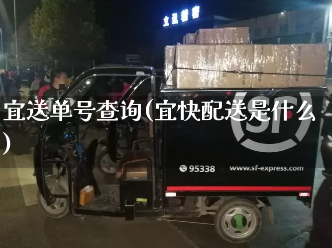 宜送单号查询(宜快配送是什么)_https://www.senxinmaoyi.com_物流单号_第1张
