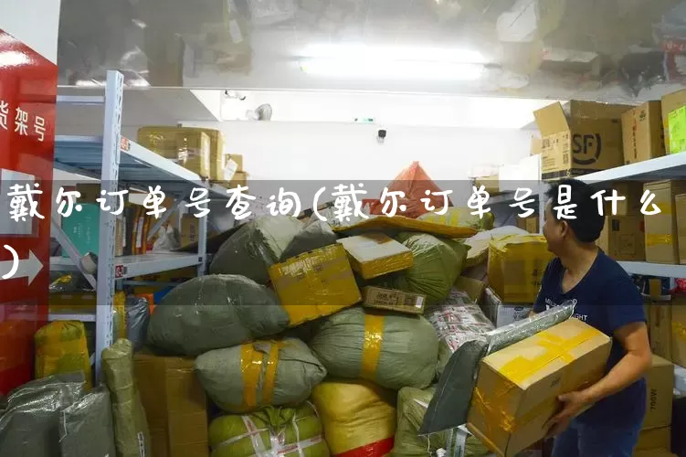 戴尔订单号查询(戴尔订单号是什么)_https://www.senxinmaoyi.com_快递查询_第1张