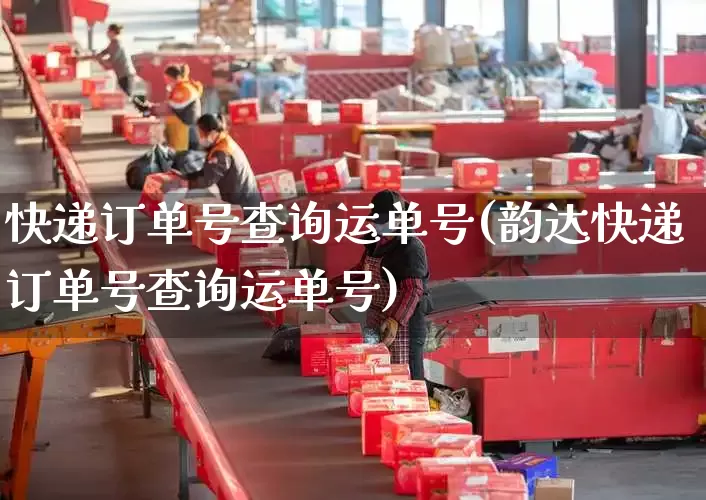 快递订单号查询运单号(韵达快递订单号查询运单号)_https://www.senxinmaoyi.com_物流查询_第1张