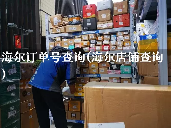 海尔订单号查询(海尔店铺查询)_https://www.senxinmaoyi.com_邮政编码_第1张
