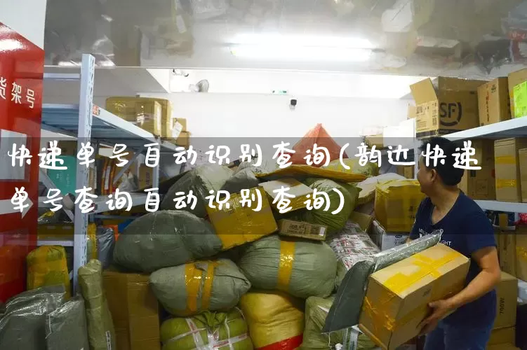 快递单号自动识别查询(韵达快递单号查询自动识别查询)_https://www.senxinmaoyi.com_邮政编码_第1张