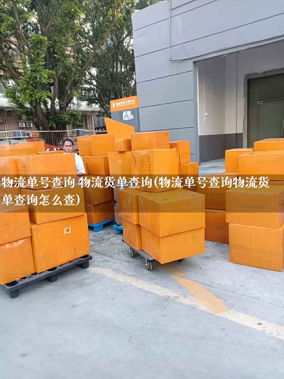 物流单号查询 物流货单查询(物流单号查询物流货单查询怎么查)_https://www.senxinmaoyi.com_邮政编码_第1张