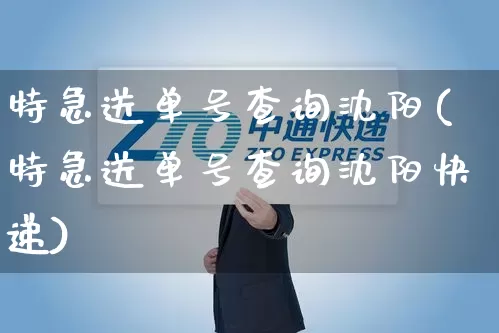 特急送单号查询沈阳(特急送单号查询沈阳快递)_https://www.senxinmaoyi.com_快递查询_第1张