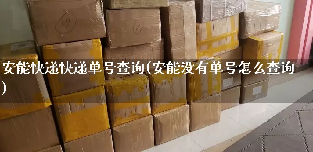 安能快递快递单号查询(安能没有单号怎么查询)_https://www.senxinmaoyi.com_邮政编码_第1张