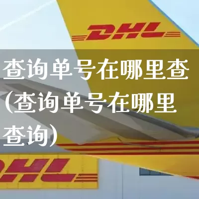 查询单号在哪里查(查询单号在哪里查询)_https://www.senxinmaoyi.com_邮政编码_第1张