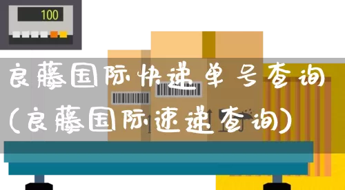 良藤国际快递单号查询(良藤国际速递查询)_https://www.senxinmaoyi.com_物流查询_第1张
