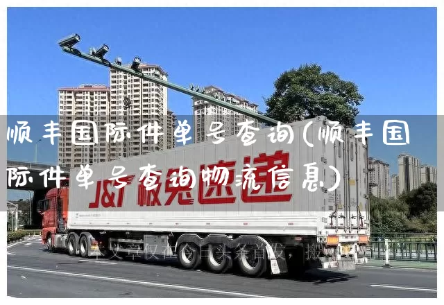 顺丰国际件单号查询(顺丰国际件单号查询物流信息)_https://www.senxinmaoyi.com_物流查询_第1张