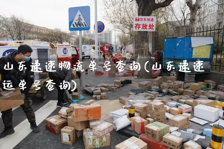 山东递速物流单号查询(山东递速运单号查询)_https://www.senxinmaoyi.com_物流查询_第1张