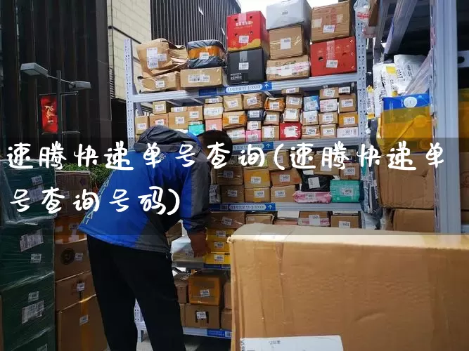 速腾快递单号查询(速腾快递单号查询号码)_https://www.senxinmaoyi.com_快递查询_第1张