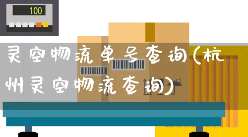 灵空物流单号查询(杭州灵空物流查询)_https://www.senxinmaoyi.com_邮政编码_第1张