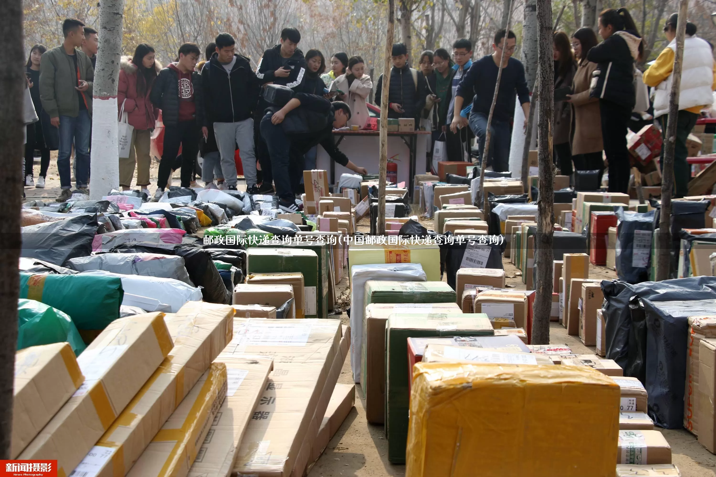 邮政国际快递查询单号查询(中国邮政国际快递查询单号查询)_https://www.senxinmaoyi.com_物流单号_第1张