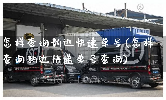 怎样查询韵达快递单号(怎样查询韵达快递单号查询)_https://www.senxinmaoyi.com_物流单号_第1张