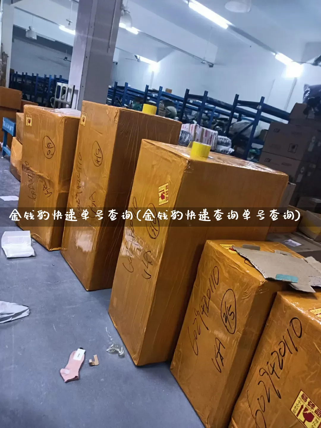 金钱豹快递单号查询(金钱豹快递查询单号查询)_https://www.senxinmaoyi.com_物流单号_第1张