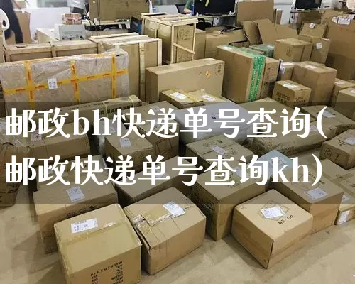 邮政bh快递单号查询(邮政快递单号查询kh)_https://www.senxinmaoyi.com_邮政编码_第1张