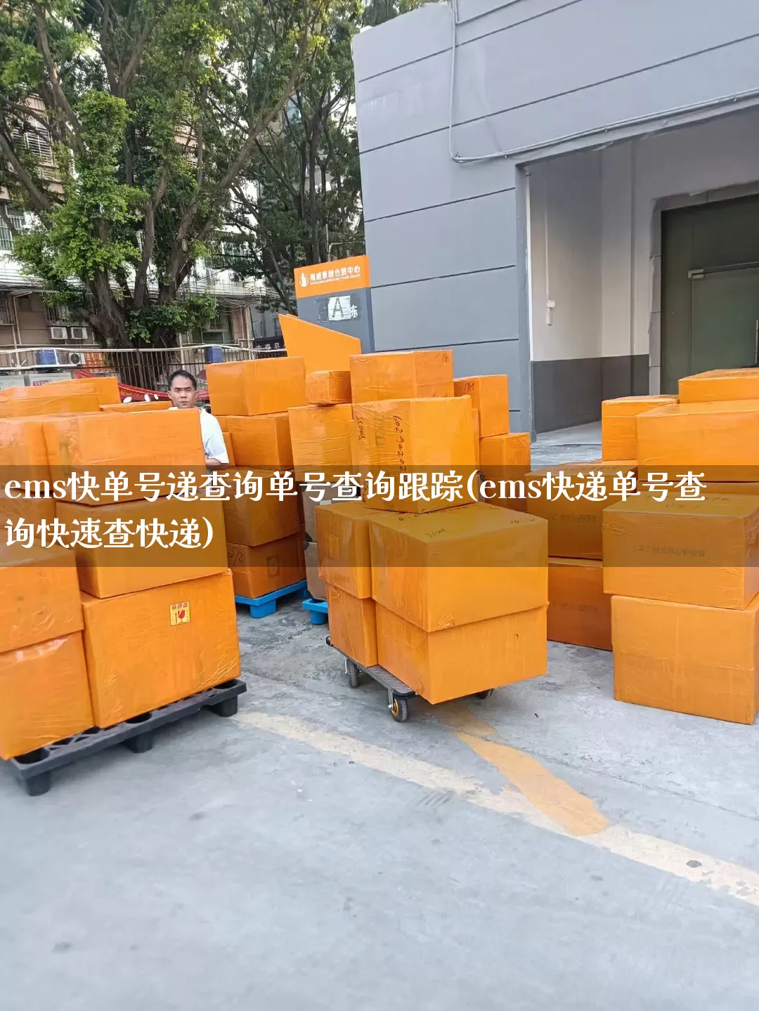 ems快单号递查询单号查询跟踪(ems快递单号查询快速查快递)_https://www.senxinmaoyi.com_物流单号_第1张