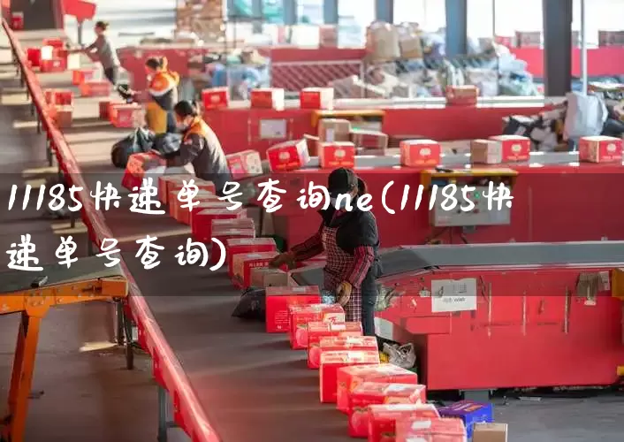 11185快递单号查询ne(11185快递单号查询)_https://www.senxinmaoyi.com_物流单号_第1张
