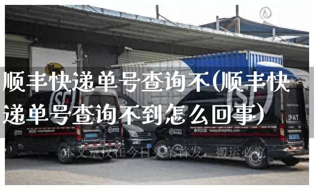 顺丰快递单号查询不(顺丰快递单号查询不到怎么回事)_https://www.senxinmaoyi.com_物流单号_第1张