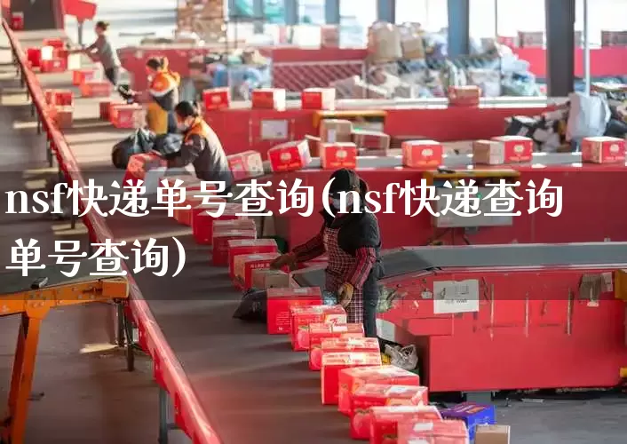 nsf快递单号查询(nsf快递查询单号查询)_https://www.senxinmaoyi.com_物流查询_第1张