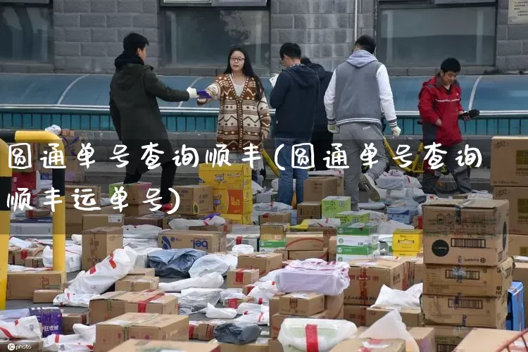 圆通单号查询顺丰(圆通单号查询顺丰运单号)_https://www.senxinmaoyi.com_邮政编码_第1张