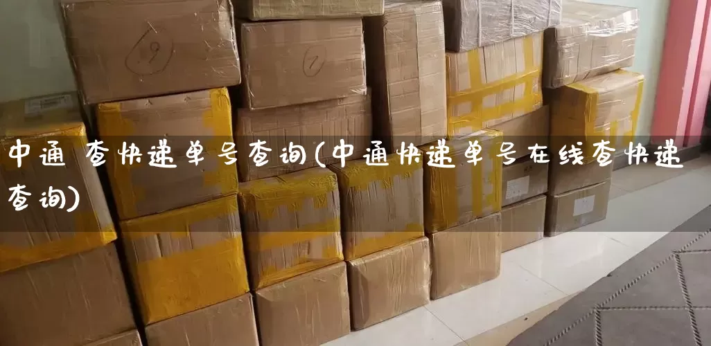 中通 查快递单号查询(中通快递单号在线查快递查询)_https://www.senxinmaoyi.com_邮政编码_第1张
