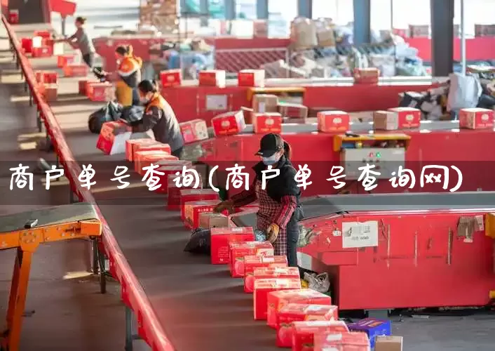 商户单号查询(商户单号查询网)_https://www.senxinmaoyi.com_物流单号_第1张