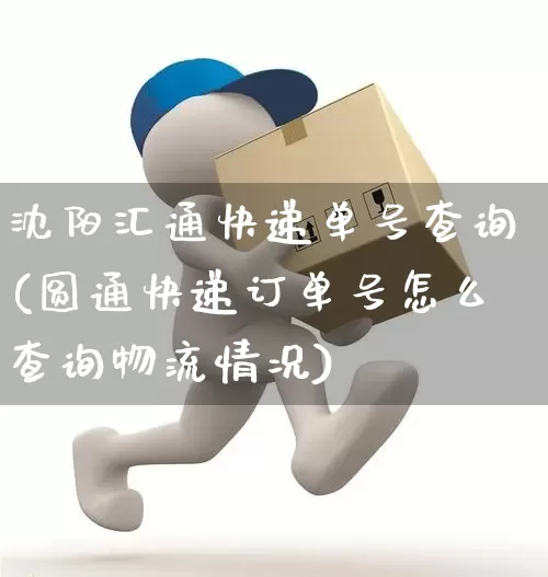 沈阳汇通快递单号查询(圆通快递订单号怎么查询物流情况)_https://www.senxinmaoyi.com_物流查询_第1张
