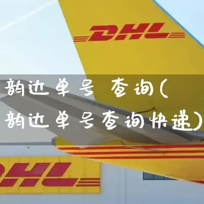 韵达单号 查询(韵达单号查询快递)_https://www.senxinmaoyi.com_物流查询_第1张