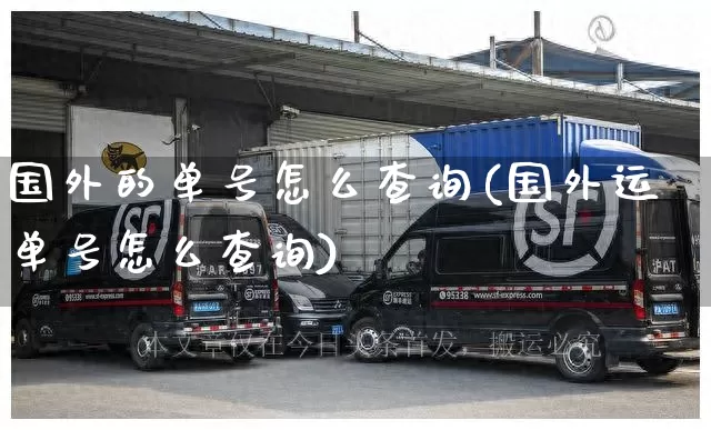 国外的单号怎么查询(国外运单号怎么查询)_https://www.senxinmaoyi.com_物流单号_第1张