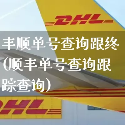 丰顺单号查询跟终(顺丰单号查询跟踪查询)_https://www.senxinmaoyi.com_物流单号_第1张