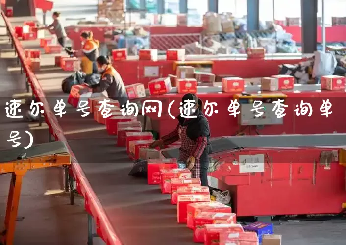 速尔单号查询网(速尔单号查询单号)_https://www.senxinmaoyi.com_物流单号_第1张
