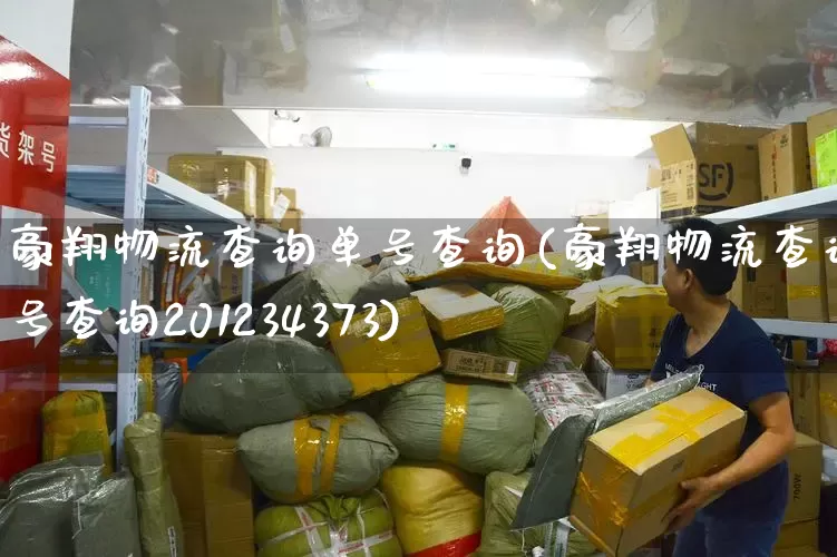 豪翔物流查询单号查询(豪翔物流查询单号查询201234373)_https://www.senxinmaoyi.com_物流单号_第1张